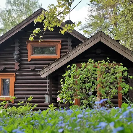 Finnisches Holzhaus By Interhome